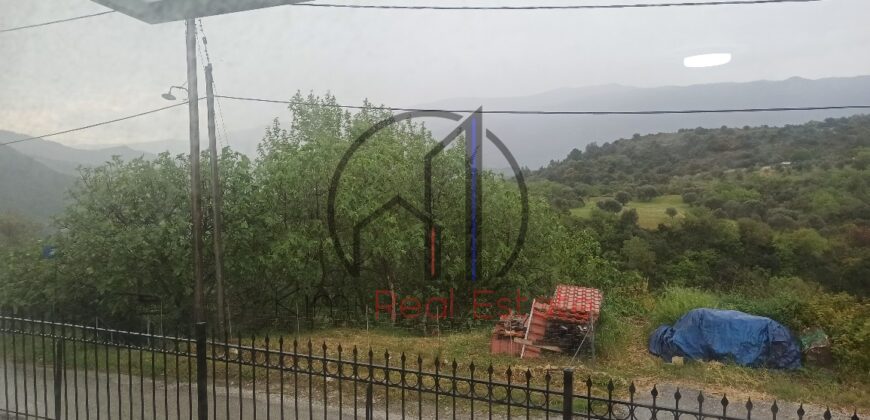 Ενορία-Ενοικιάζεται Δυάρι με αυλή και γκαράζ