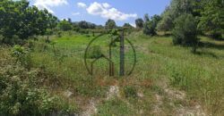 Μεντούλι-Πωλείται οικόπεδο 1358,32 τ.μ.