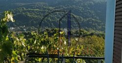 Βίταλο-Πωλείται οικία 100 τ.μ.