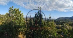 Βίταλο-Πωλείται οικία 100 τ.μ.