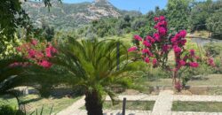 Oξύλιθος-Πωλείται μονοκατοικία 83 τ.μ. με οικόπεδο