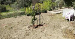 Oξύλιθος-Πωλείται μονοκατοικία 83 τ.μ. με οικόπεδο