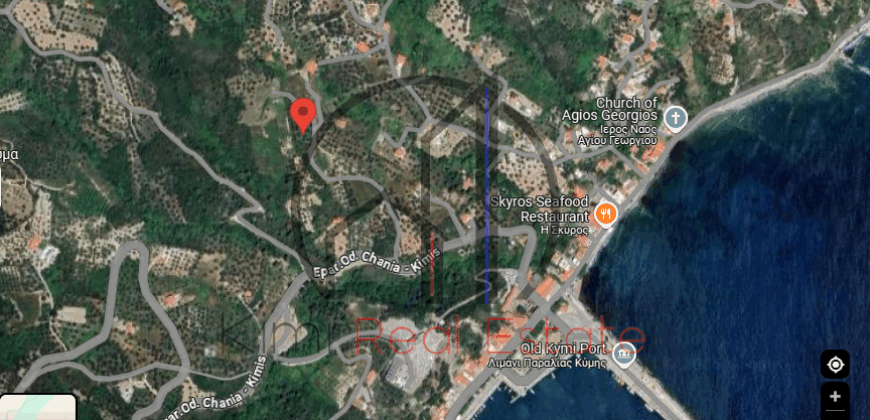 Κύμη-Πωλείται αγροτεμάχιο 1800 τ.μ. με 22 ρίζες ελιές