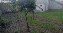 Κύμη-Πωλείται οικόπεδο εντός σχεδίου πόλεως 292,66 τ.μ. με παλαιά κατοικία 102 τ.μ.