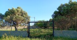 Κύμη-Πωλείται οικόπεδο 1.012,45 τ.μ.