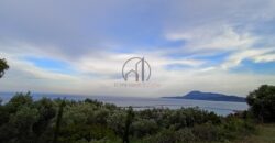 Παραλία Κύμης-Πωλείται οικόπεδο 5.686 τ.μ. και οικία 140 τ.μ. με μαγευτική θέα στο Αιγαίο.