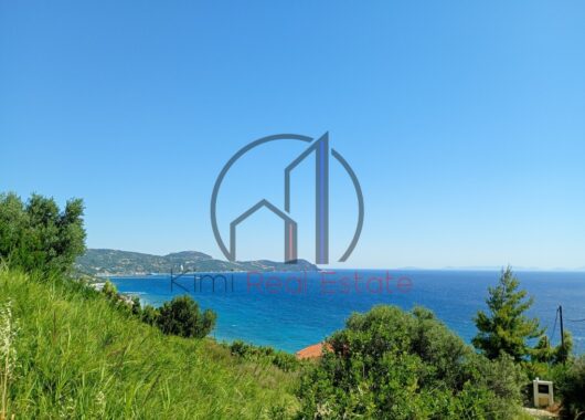 Οξύλιθος-Πωλείται οικόπεδο 4882,44 τ.μ.