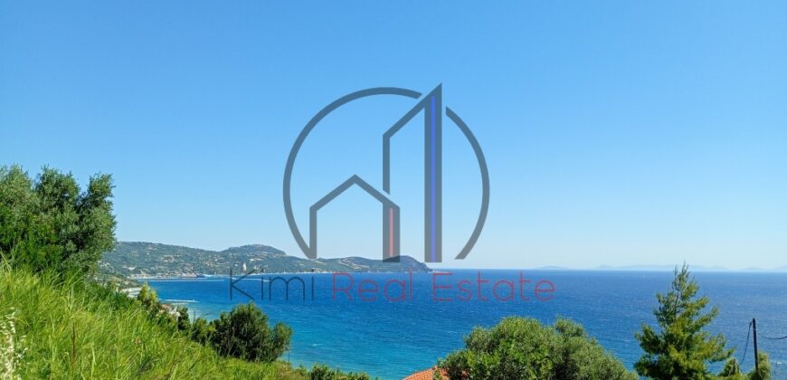 Οξύλιθος-Πωλείται οικόπεδο 4882,44 τ.μ.