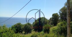 Οξύλιθος-Πωλείται οικόπεδο 4882,44 τ.μ.