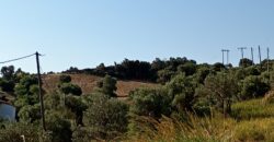 Παραλία Κύμης-Πωλείται οικόπεδο άρτιο και οικοδομήσιμο 3.548,28 τ.μ.