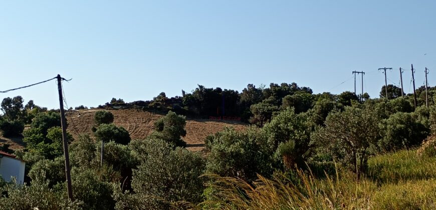 Παραλία Κύμης-Πωλείται οικόπεδο άρτιο και οικοδομήσιμο 3.548,28 τ.μ.