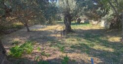 Κονίστρα-Πωλείται οικόπεδο 2792 τ.μ.