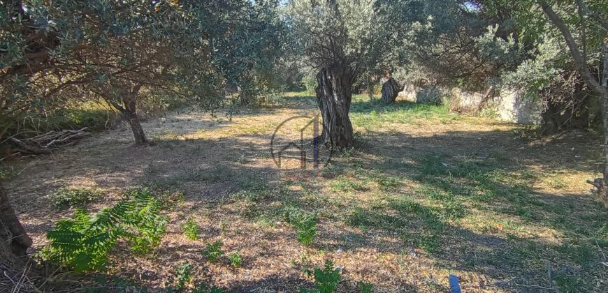 Κονίστρα-Πωλείται οικόπεδο 2792 τ.μ.
