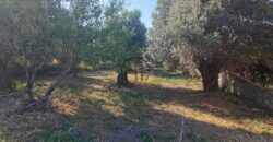 Κονίστρα-Πωλείται οικόπεδο 2792 τ.μ.