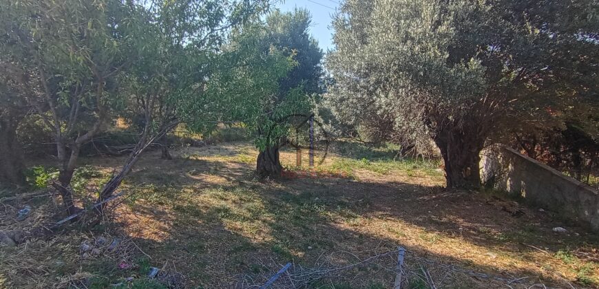 Κονίστρα-Πωλείται οικόπεδο 2792 τ.μ.