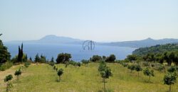 Κυμη-Ενοικιαζεται κατοικία 70 τ.μ.