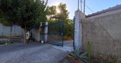 ΚΥΜΗ – ΕΝΟΙΚΙΑΖΕΤΑΙ ΙΣΟΓΕΙΟ ΔΥΑΡΙ 57 τ.μ.