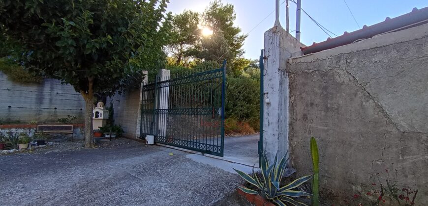 ΚΥΜΗ – ΕΝΟΙΚΙΑΖΕΤΑΙ ΙΣΟΓΕΙΟ ΔΥΑΡΙ 57 τ.μ.